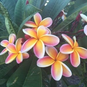 Meet your Posher, Tori